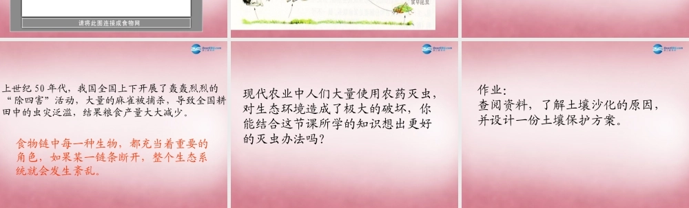 六年级科学上册 第5单元 23 密切联系的生物界课件6 青岛版