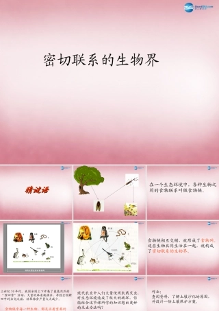 六年级科学上册 第5单元 23 密切联系的生物界课件6 青岛版