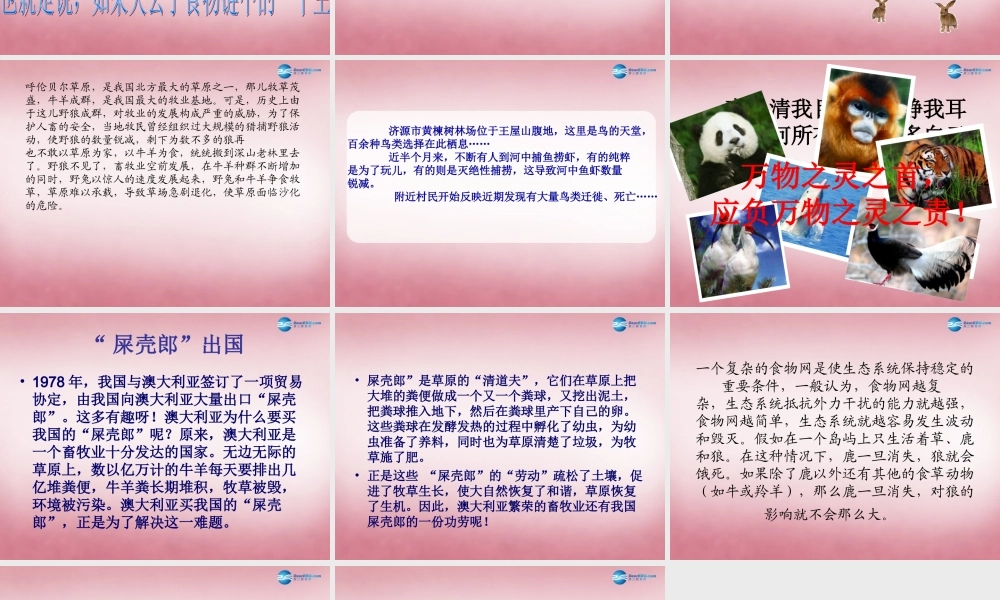 六年级科学上册 第5单元 23 密切联系的生物界课件7 青岛版