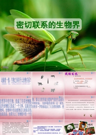 六年级科学上册 第5单元 23 密切联系的生物界课件7 青岛版