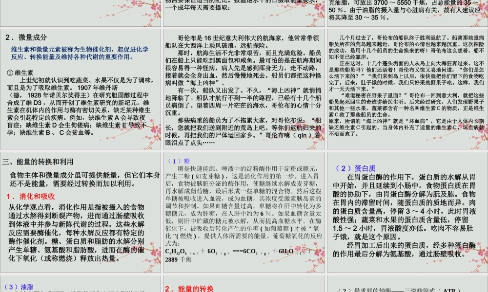 六年级科学下册 第5章 能与能源 5.4 能源 能的来源教学课件 牛津上海版-牛津上海版小学六年级下册自然科学课件
