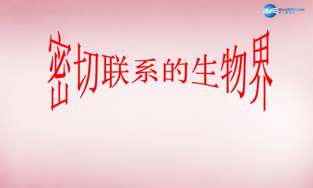 六年级科学上册 第5单元 23 密切联系的生物界课件8 青岛版
