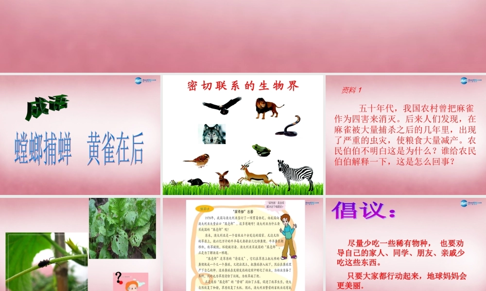 六年级科学上册 第5单元 23 密切联系的生物界课件8 青岛版