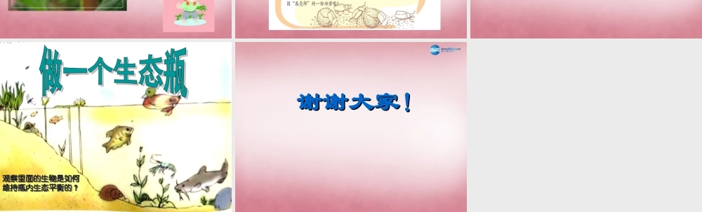 六年级科学上册 第5单元 23 密切联系的生物界课件8 青岛版