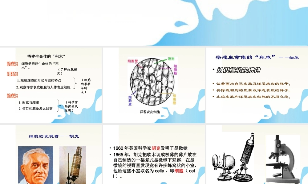 六年级科学上册 搭建生命体的积木课件1 苏教版