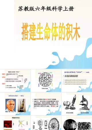 六年级科学上册 搭建生命体的积木课件1 苏教版