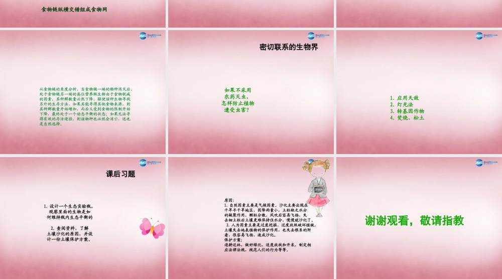 六年级科学上册 第5单元 23 密切联系的生物界课件9 青岛版