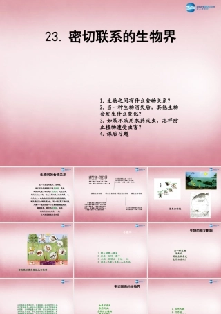 六年级科学上册 第5单元 23 密切联系的生物界课件9 青岛版