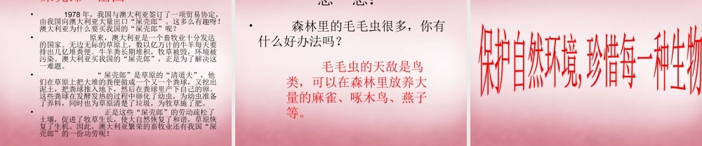 六年级科学上册 第5单元 23 密切联系的生物界课件10 青岛版