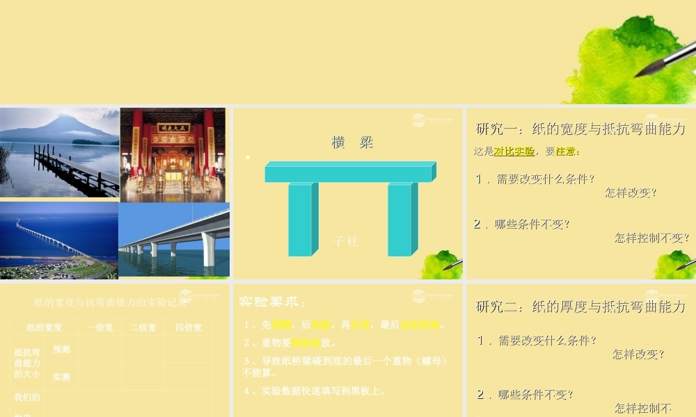 六年级科学上册 抵抗弯曲 4课件 教科版