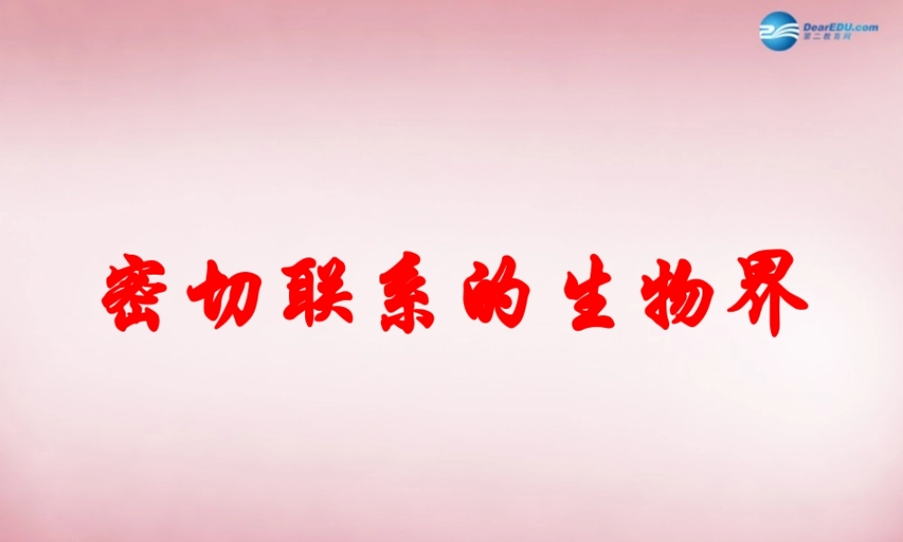 六年级科学上册 第5单元 23 密切联系的生物界课件11 青岛版