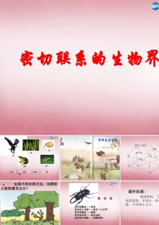 六年级科学上册 第5单元 23 密切联系的生物界课件11 青岛版