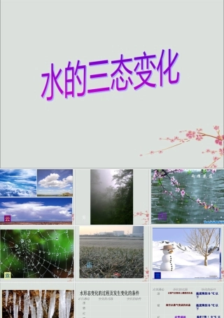 六年级科学下册 第6章 水与人类 6.3 水的循环 水的三态变化教学课件 牛津上海版-牛津上海版小学六年级下册自然科学课件