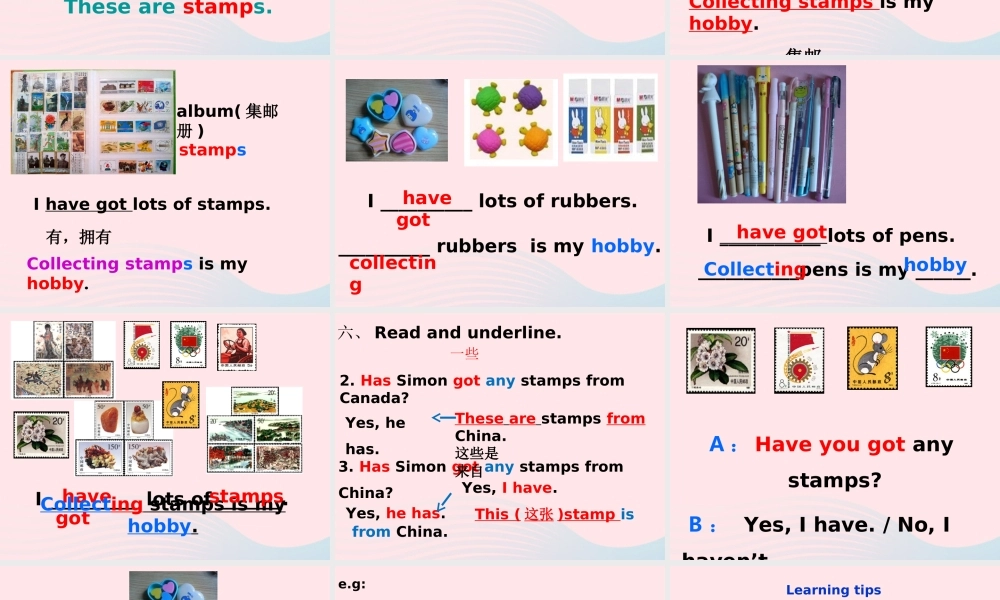六年级英语上册 Module 3 Unit 1 collecting stamps is my hobby 课件 外研版（三起）-外研版小学六年级上册英语课件