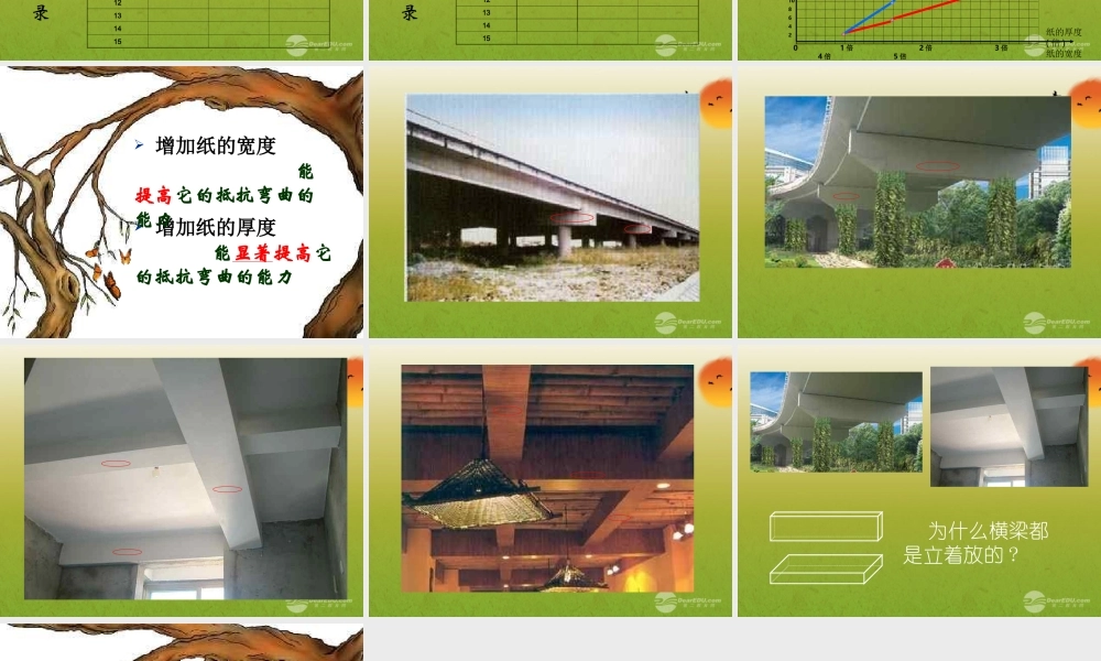 六年级科学上册 抵抗弯曲 5课件 教科版