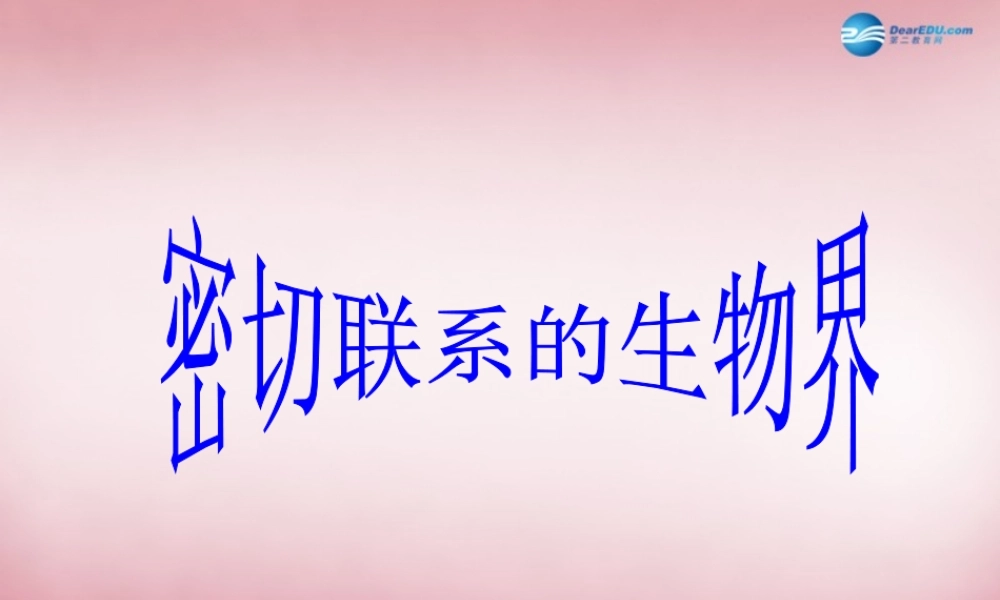 六年级科学上册 第5单元 23 密切联系的生物界课件12 青岛版