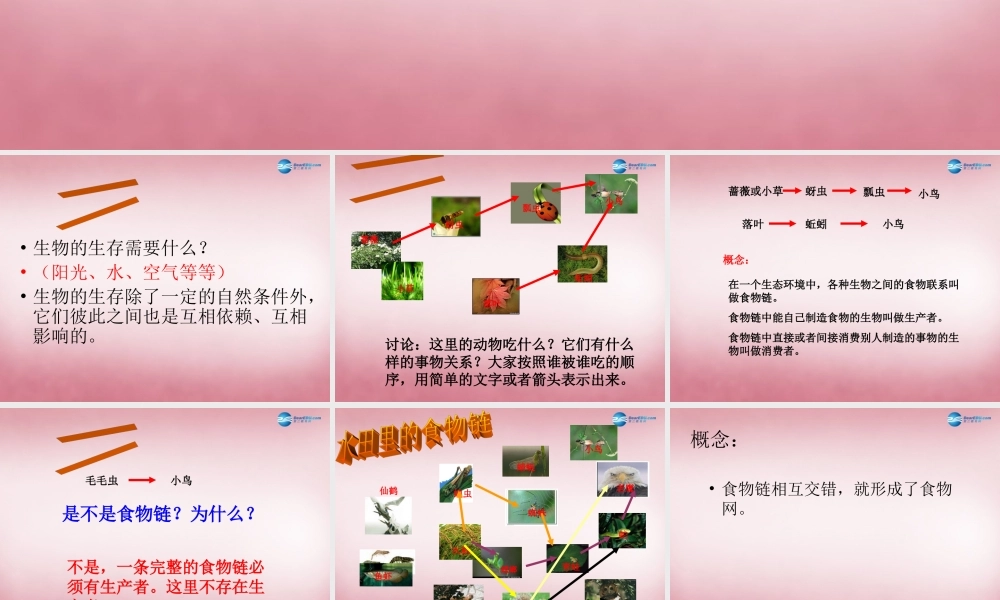 六年级科学上册 第5单元 23 密切联系的生物界课件12 青岛版