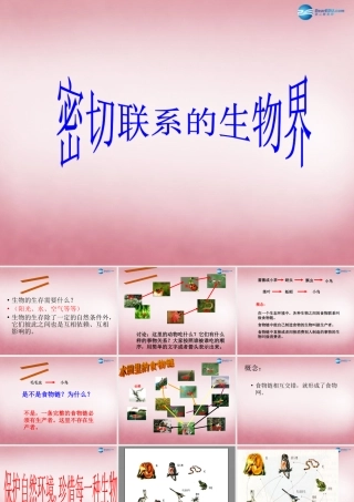 六年级科学上册 第5单元 23 密切联系的生物界课件12 青岛版