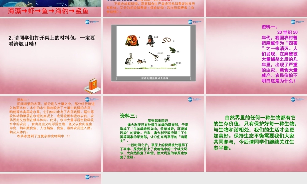 六年级科学上册 第5单元 23 密切联系的生物界课件13 青岛版