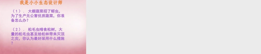 六年级科学上册 第5单元 23 密切联系的生物界课件13 青岛版