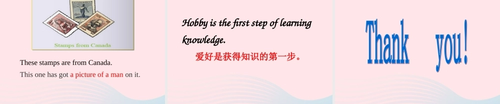 六年级英语上册 Module 3 Unit 1 collecting stamps is my hobby课件  外研版（三起）-外研版小学六年级上册英语课件