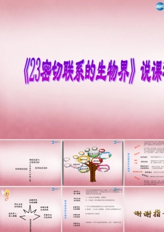 六年级科学上册 第5单元 23 密切联系的生物界说课课件 青岛版