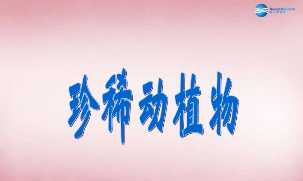 六年级科学上册 第5单元 24 珍稀动植物课件2 青岛版