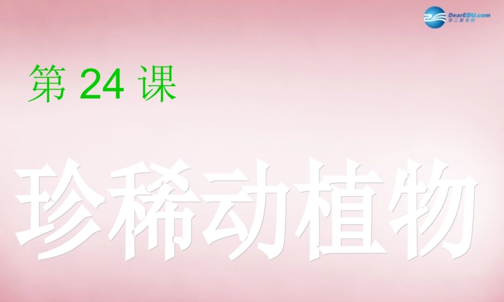 六年级科学上册 第5单元 24 珍稀动植物课件3 青岛版
