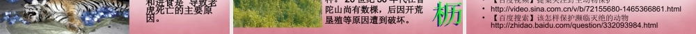 六年级科学上册 第5单元 24 珍稀动植物课件3 青岛版