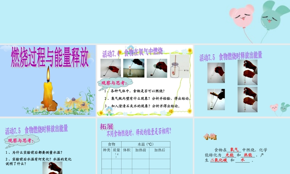 六年级科学下册 第7章 空气与生命 7.2 氧气与燃烧 燃烧过程与能量释放教学课件 牛津上海版-牛津上海版小学六年级下册自然科学课件