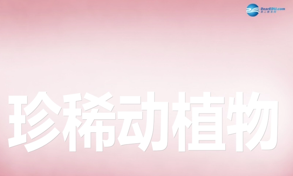 六年级科学上册 第5单元 24 珍稀动植物课件4 青岛版