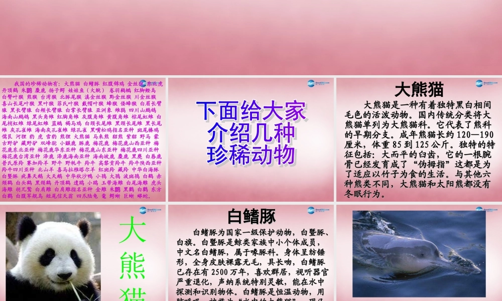 六年级科学上册 第5单元 24 珍稀动植物课件4 青岛版