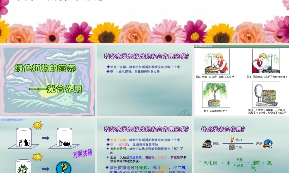 六年级科学下册 第7章 空气与生命 7.3 生物体如何获取能量 绿色植物如何获取能量教学课件 牛津上海版-牛津上海版小学六年级下册自然科学课件