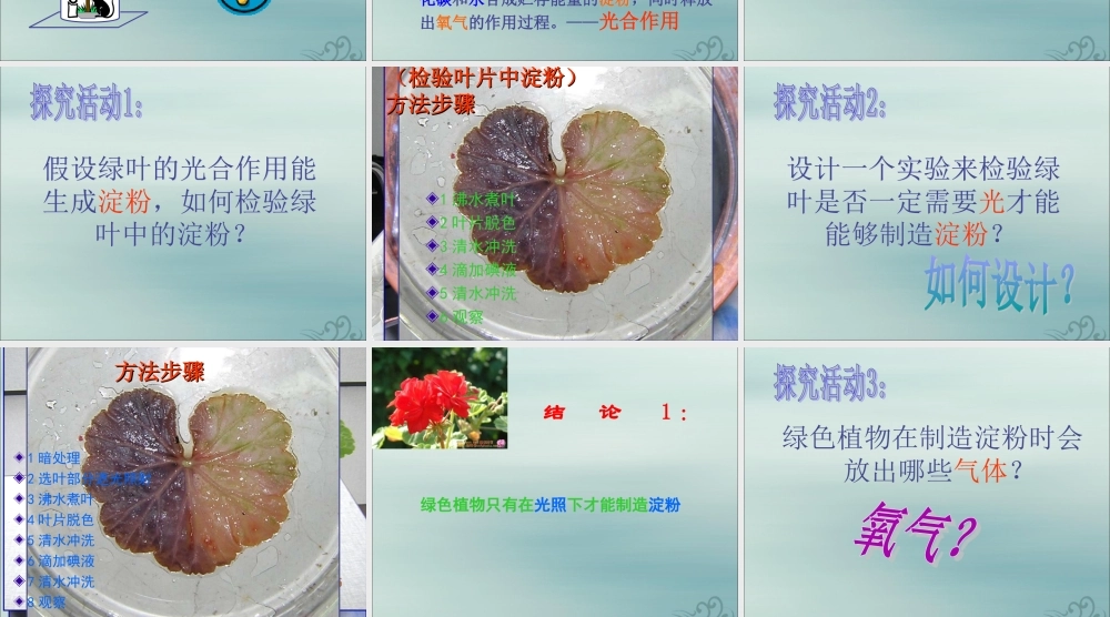 六年级科学下册 第7章 空气与生命 7.3 生物体如何获取能量 绿色植物如何获取能量教学课件 牛津上海版-牛津上海版小学六年级下册自然科学课件