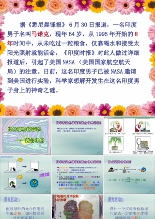 六年级科学下册 第7章 空气与生命 7.3 生物体如何获取能量 绿色植物如何获取能量教学课件 牛津上海版-牛津上海版小学六年级下册自然科学课件