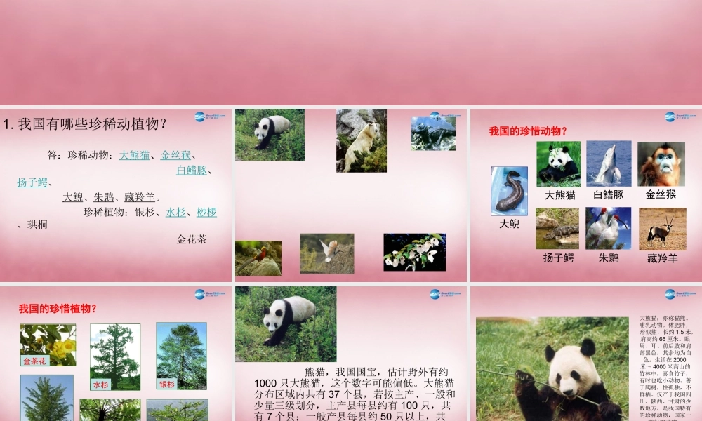 六年级科学上册 第5单元 24 珍稀动植物课件5 青岛版