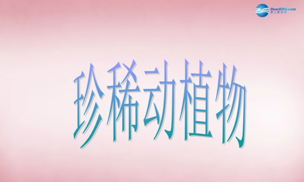 六年级科学上册 第5单元 24 珍稀动植物课件6 青岛版