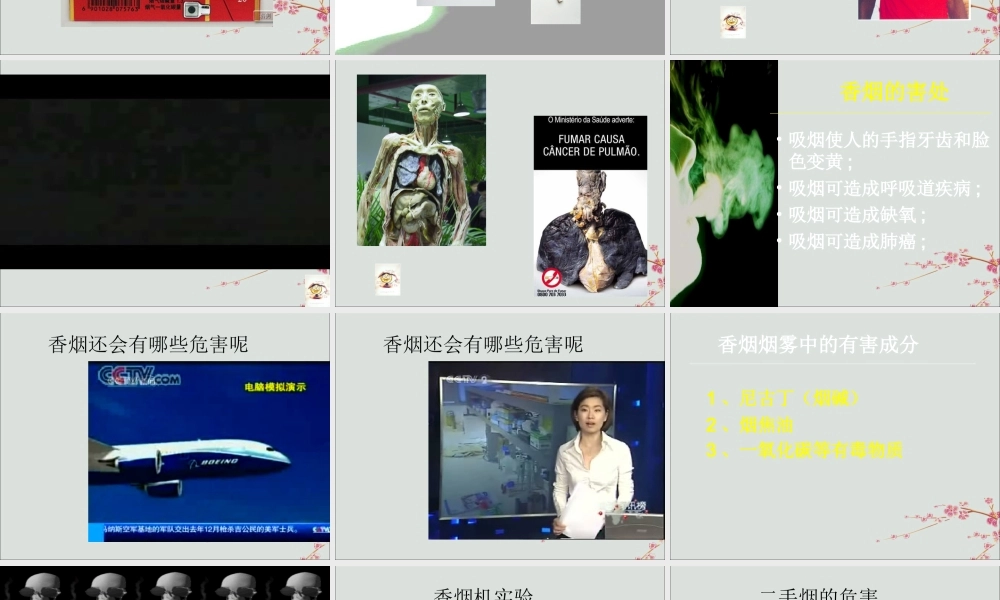 六年级科学下册 第7章 空气与生命 7.5 空气污染对健康的影响 吸烟有害健康教学课件 牛津上海版-牛津上海版小学六年级下册自然科学课件