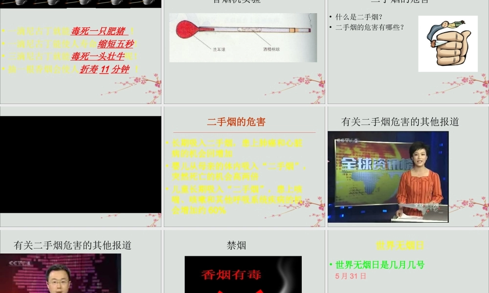 六年级科学下册 第7章 空气与生命 7.5 空气污染对健康的影响 吸烟有害健康教学课件 牛津上海版-牛津上海版小学六年级下册自然科学课件