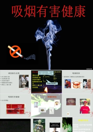 六年级科学下册 第7章 空气与生命 7.5 空气污染对健康的影响 吸烟有害健康教学课件 牛津上海版-牛津上海版小学六年级下册自然科学课件