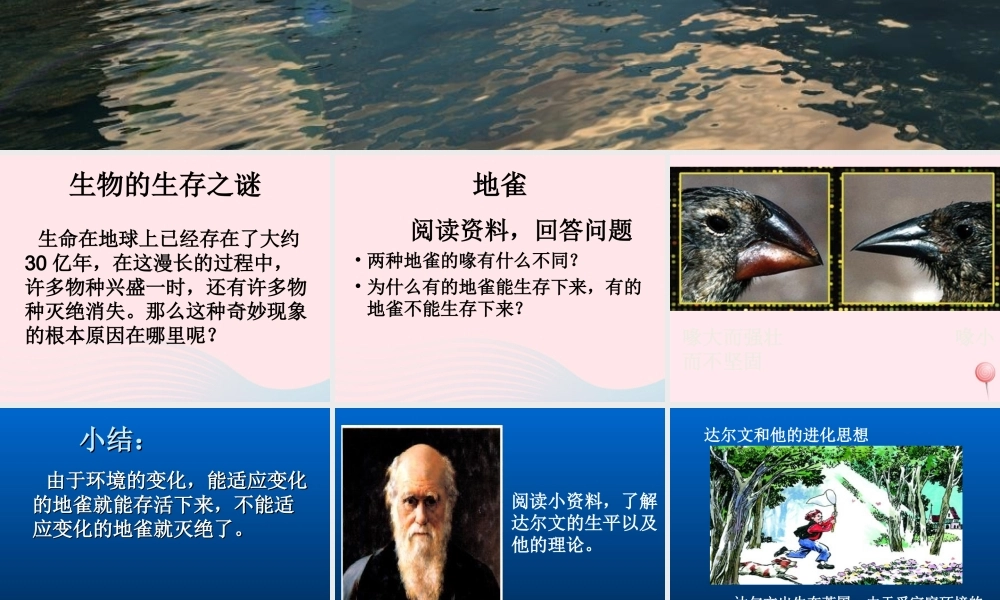 六年级科学下册 第一单元 3《谁能生存下来》课件 鄂教版-鄂教版小学六年级下册自然科学课件
