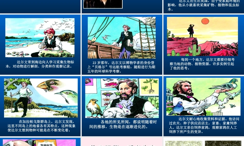 六年级科学下册 第一单元 3《谁能生存下来》课件 鄂教版-鄂教版小学六年级下册自然科学课件