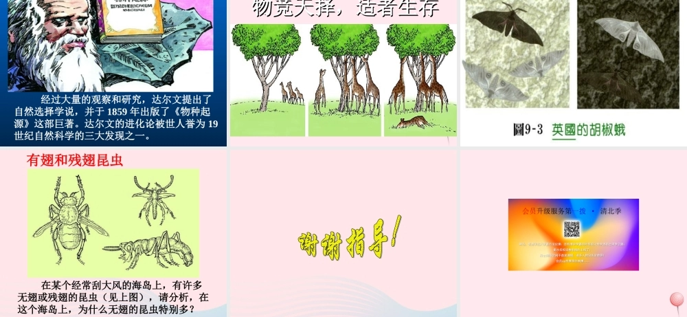 六年级科学下册 第一单元 3《谁能生存下来》课件 鄂教版-鄂教版小学六年级下册自然科学课件