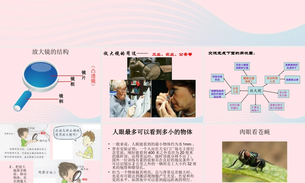 六年级科学下册 第一单元 微小世界 1 放大镜课件 教科版-教科版小学六年级下册自然科学课件