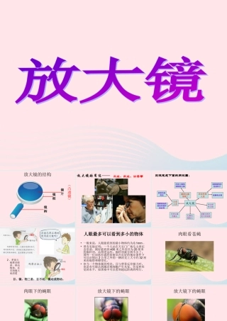 六年级科学下册 第一单元 微小世界 1 放大镜课件 教科版-教科版小学六年级下册自然科学课件