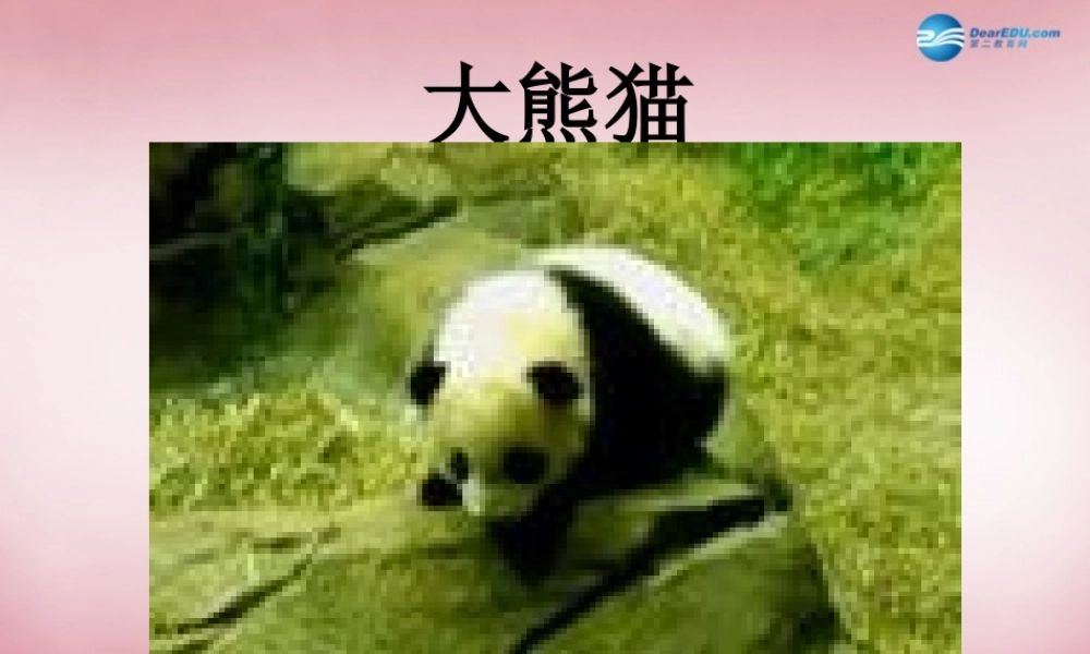 六年级科学上册 第5单元 24 珍稀动植物课件9 青岛版