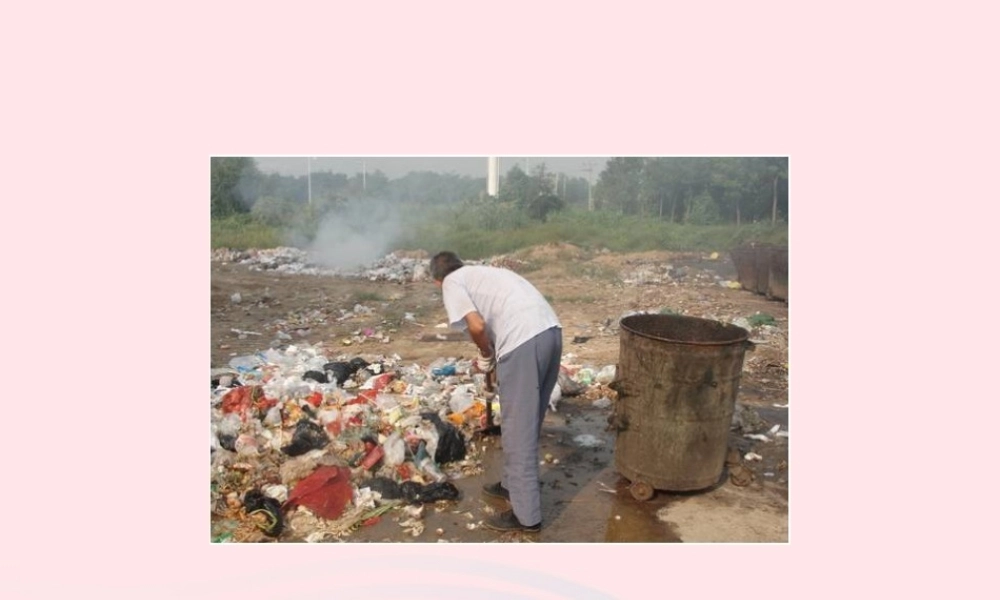 六年级科学下册 第四单元 环境和我们 1一天的垃圾课件 教科版-教科版小学六年级下册自然科学课件