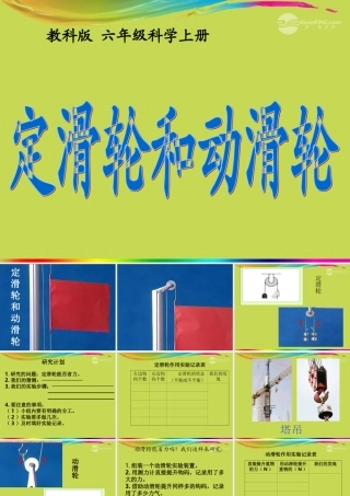 六年级科学上册 定滑轮和动滑轮课件 教科版