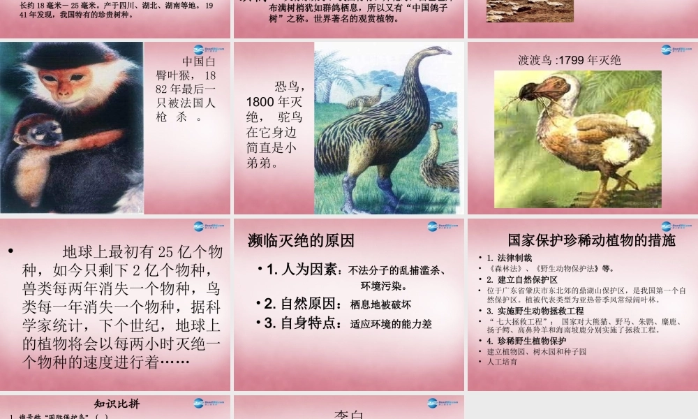 六年级科学上册 第5单元 24 珍稀动植物课件10 青岛版