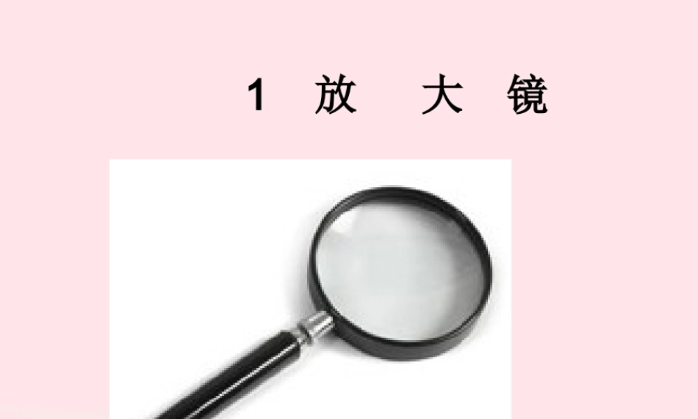 六年级科学下册 第一单元 微小世界 1 放大镜课件1 教科版-教科版小学六年级下册自然科学课件